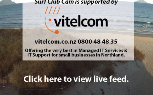 VITELCOM_LOGO_final