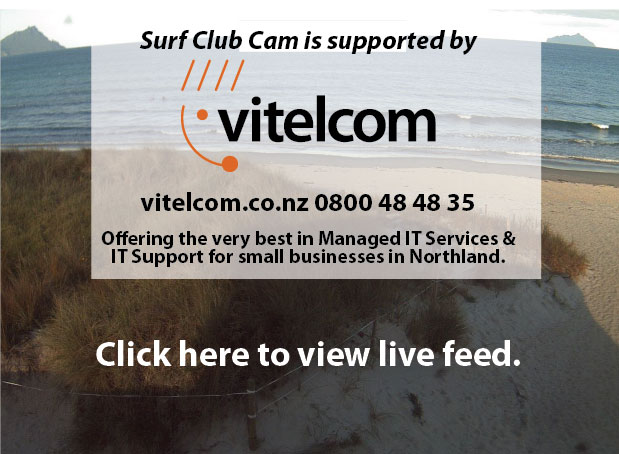 VITELCOM_LOGO_final