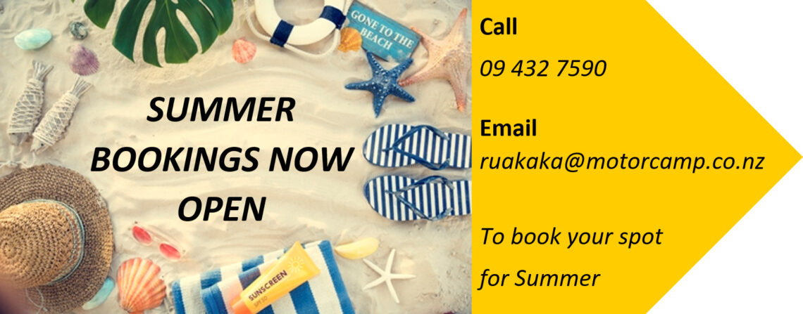 Summer Book website