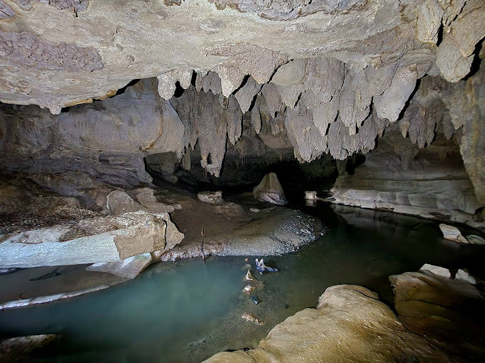 Waipu Caves