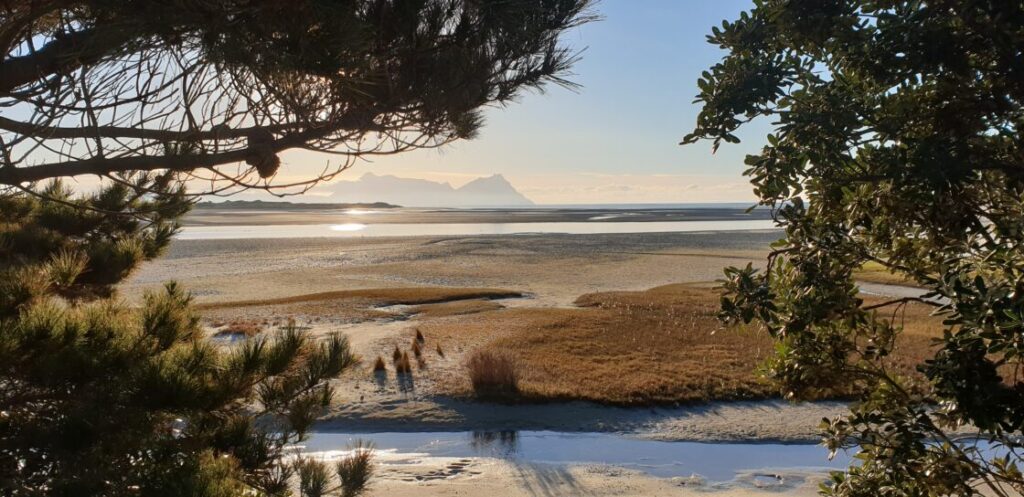 11-June-2019-1120x544