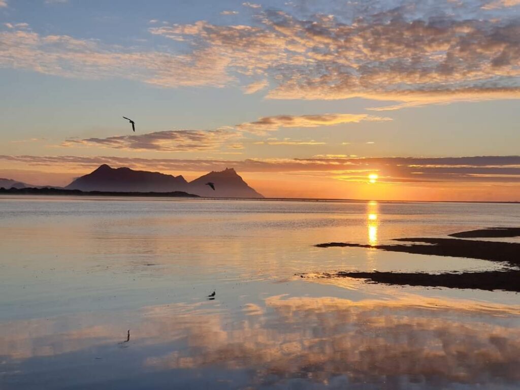 479268437_1222051693262203_7361266478808277199_n (1)