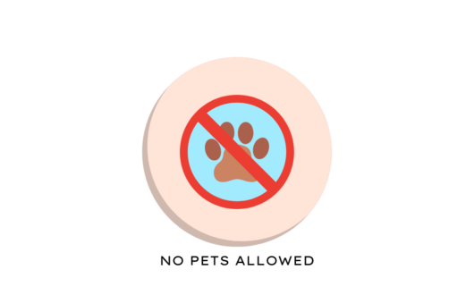 NO PETS ALLOWED