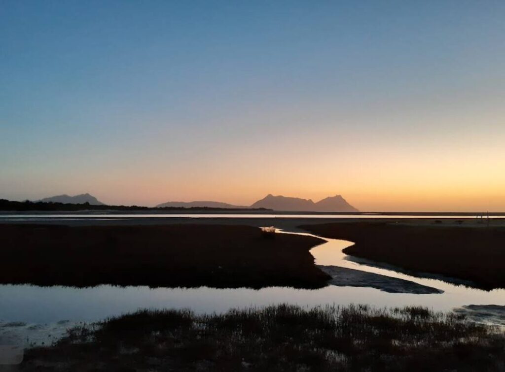 Screenshot 2025-05-30 120920