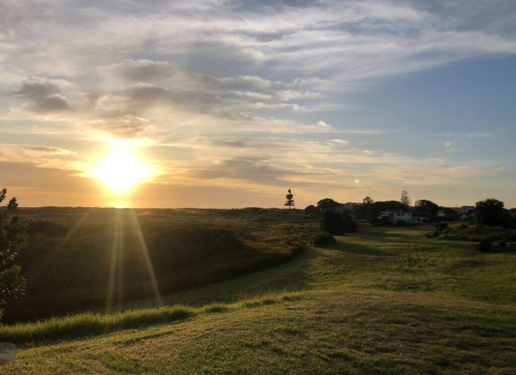 Screenshot 2025-05-30 121647